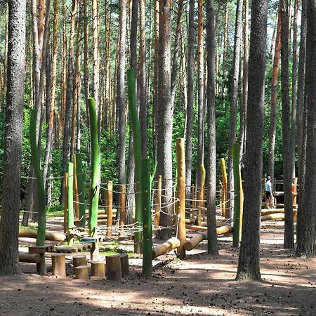 Waldcamping Am Brombachsee Pleinfeld Dış mekan fotoğraf